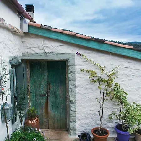 Zen Blue Elaia - Serenity And Nature In Peloponnese Holiday home *