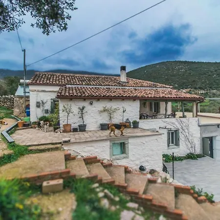 Zen Blue Elaia - Serenity And Nature In Peloponnese *