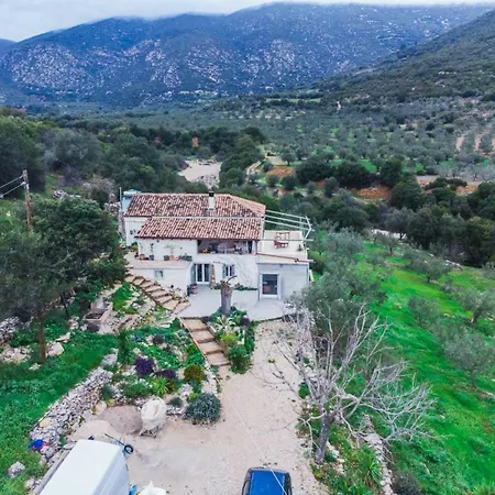 Zen Blue Elaia - Serenity And Nature In Peloponnese *